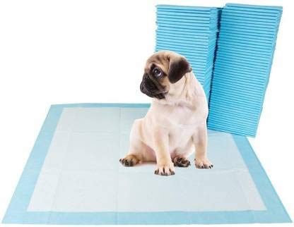 RvPaws Disposable Pet Training Pads 60x90 cms Large Puppy Pee and Potty Pads with Quick Drying Surface & Absorbent Core, Suitable for Small/Medium/Large Breed Pets, Dogs, Cats - Pack of 10 Pcs
