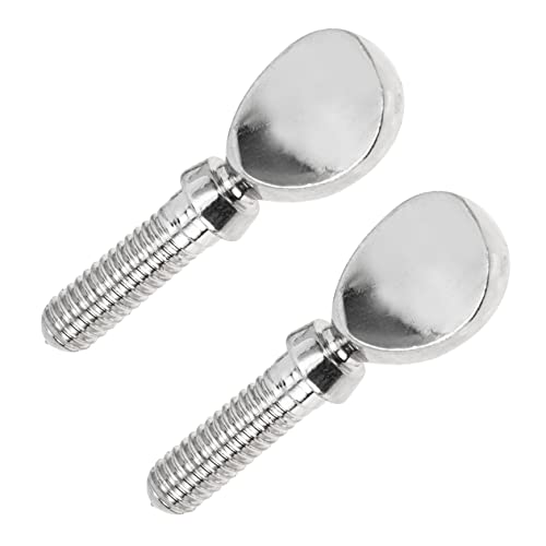 ULDIGI Flute Accessories 2 Pieces Copper Flute Screw Set Replacement for Damaged Flute Screws Silver Tone