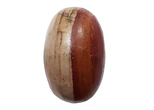 Image of PANDIT NM SHRIMALI Natural Narmadeshwar Shivling Original | Ardhnarishwar Shivling Narmadeshwar Stone for Jaldhari Stand Pooja Abhishek Lord Shiva Ji Home Office Gift Item, 2.5 Inch