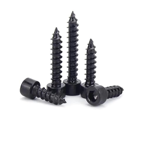 Zt^bsO˂ 10/50X M1.7 M2 M2.6 M3 M3.5 M4 M5 M6 304XeXubNJ[{X`[ZpZptZt^bsOlW(Black carbon steel,6MM_10PCS M6)