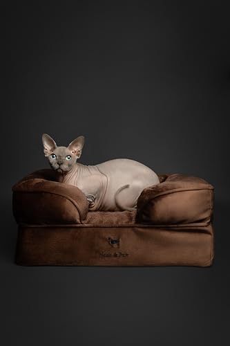 Image of NOAH & PAW Small Dog Bed, 20x15x8 Inch, Cat Bed for Indoor Cats, Orthopedic Eggshell Memory Foam Infused with Cooling Gel, Water Resistant Inner Cover Machine Washable (Velvet Collection)