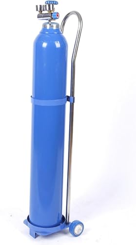 Support de bouteille d'oxygène mobile pour réduire la fatigue 15 L - 2