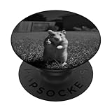 Photo Gallery funny hamster flipping off middle finger on security camera popsockets popgrip adesivo Photo Gallery funny hamster flipping off middle finger on security camera popsockets popgrip adesivo
