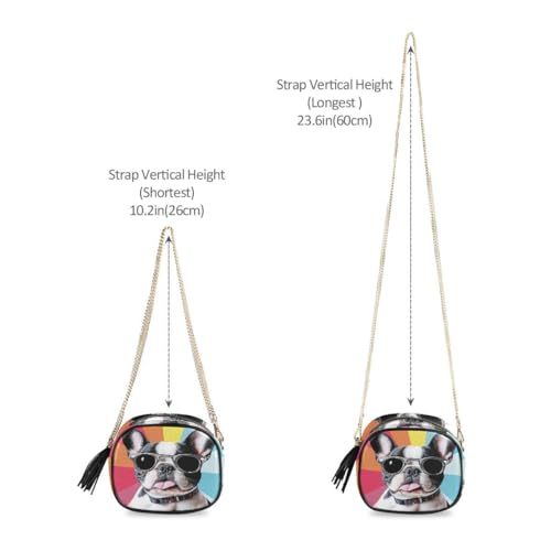 ALAZA Women's Cool Cute French Bulldog Puppy PU Leather Crossbody Bag Shoulder Purse with Tassel4
