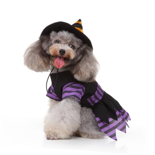Disfraz Halloween bruja para perros talla S