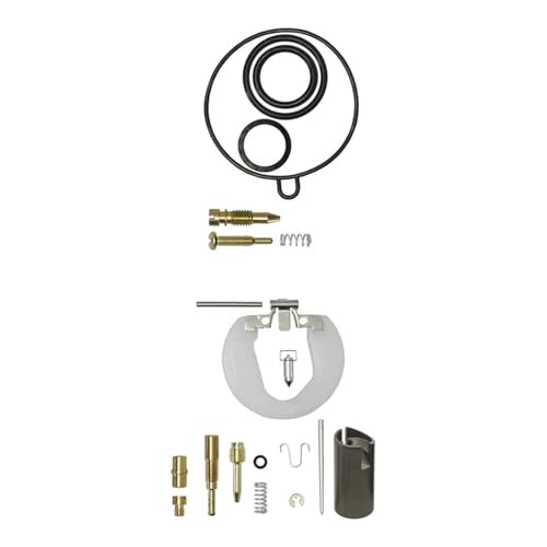 Kit réparation carburateur PZ19 19mm pour motos Wave100 et Dream C100
