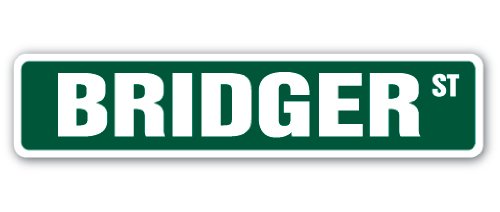 BRIDGER Street Sign Childrens Name Room Sign | Indoor/Outdoor |  24" Wide Plastic Sign