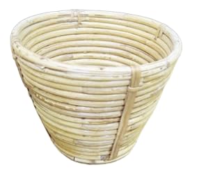 The House of Cane Furniture Stick Coconut 7"x5"