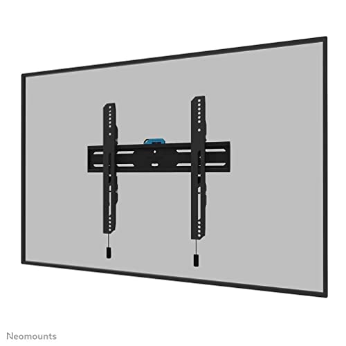 Screen Wall Mount (Fixed/Vesa Wall