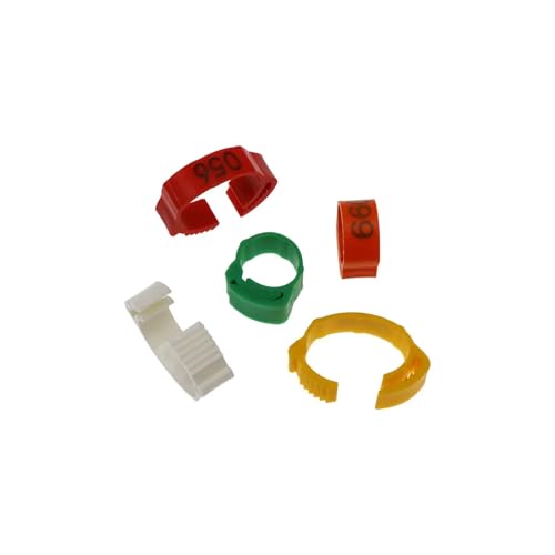 Bandas de identificación de pollo ajustables en pack de 100 anillos multicolores para aves 3
