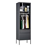 VEXPOR Storage Locker with Hanging Rod, Metal Locker for Employees, Metal Storage Lockers for Basketball Gym, Gym, Office, Home and Garage, Gray, Assembly Required