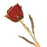 Lacquer Dipped Gold Trim Red Rose