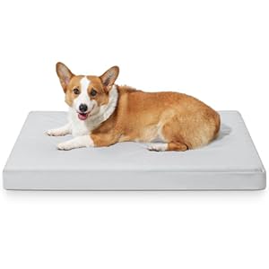 Orthopedic Chew Proof Dog Bed – Waterproof, Scratch Resistant, Washable Memory Foam Dog Bed with Anti-Slip Bottom, Easy to Clean, Indestructible Pet Bed for Large Dogs, 36″x27″x3.5″, Gray
