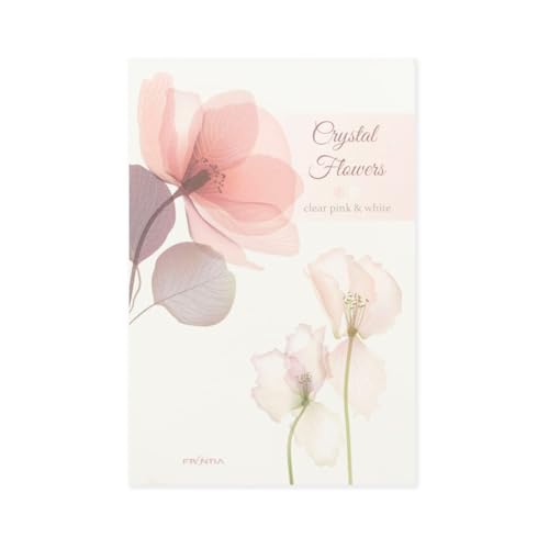 teBA ͂ NX^t[ sN HGS-437