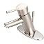 Brushed Nickel