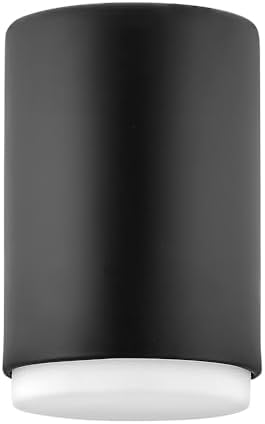 Hinkley Cedric Extra Small Flush Mount, Black