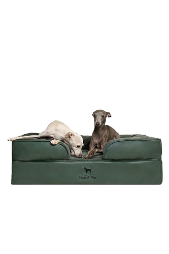 NOAH & PAW Large Dog Bed, 35x25x11 Inch, Orthopedic Dog Beds, Eggshell Memory Foam Infused with...