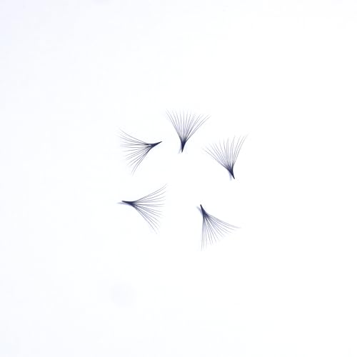 LaDulcie Cílios fáceis de ventilar. 500 peças/caixa. Ventiladores 14D 0,05 C D, Ventiladores de cíli