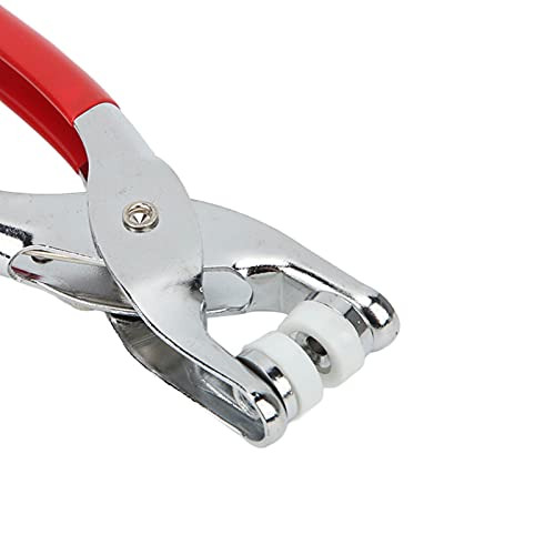 Boutons de vêtements creux 10 mm robustes et décoratifs avec boîte de tri