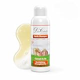 Don Cabello Champú de Ajo [Sin Olor] para Pelo Teñido & Mechas & Puntas Abiertas & Seco o Dañado por Uso de Planchas – Champú Natural sin Siliconas – Un Botox Natural para el Cabello – 1000 ml
