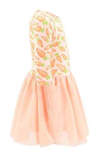 Image of Girls Long Sleeve Tulle Tutu Dresses for Kid and Toddler