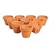 Juvale 10-Pack 1.5-Inch Mini Terracotta Plants Pots with Drainage Holes for Cactus, Succulents, Tiny Clay Terra Cotta Flower Pot Planters for Nursery, Indoor Garden, Patio, DIY Crafts