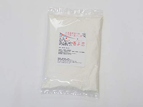 kCY͕ t 450g (t100gp) ł Ȃp pp Xg[g