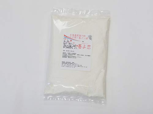 北海道産強力粉 春よ恋 450g (春よ恋100％使用) 蕎麦打ち つなぎ用小麦粉 製パン用小麦粉 ストレート