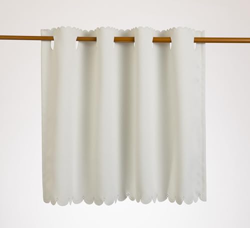 �P���Ռ��h���J�t�F�J�[�e���i�������^�C�v�j �Ж�40cmX��75cm �A�C�{���[