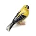 Little Critterz "Bounce Goldfinch LC553 Miniature Hand Painted Porcelain