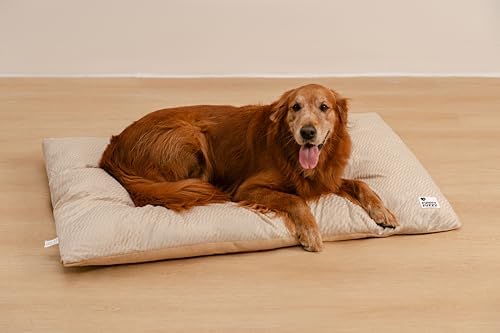 FUNNY FUZZY Washable Dog Bed,Reversible Plush Dog Crate Mat, Soft Fluffy Kennel Pad,Pet Sleeping Mattress for Jumbo,X-Large Sized Dogs Breeds,2XL,48