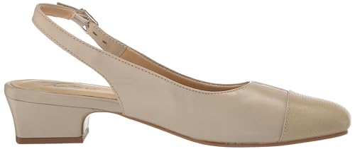 Image of Trotters