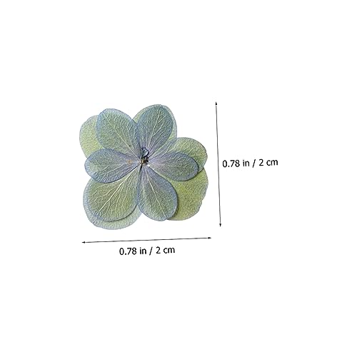 Flores secas prensadas para manualidades Levemolo 30 pcs miniatura 2