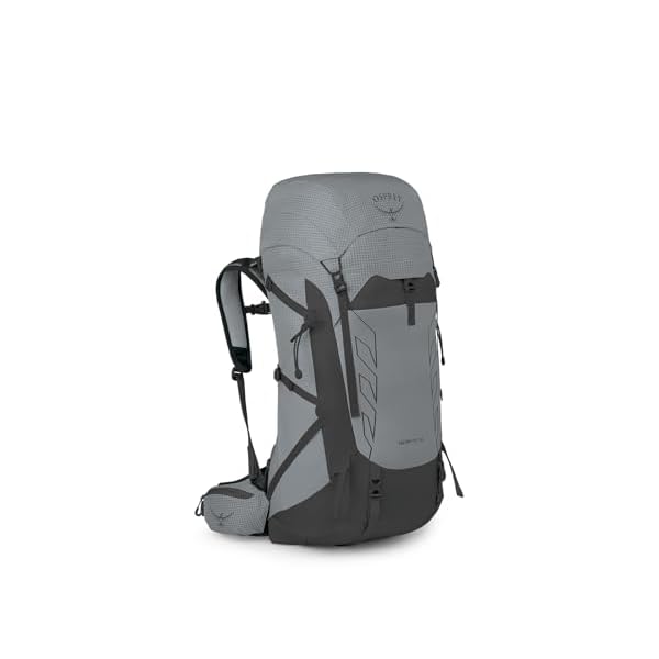 Osprey Talon Pro 40L Men's Hiking Backpack with Hipbelt, Silver Lining, S/M