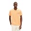 22225 | Washed Out Orange