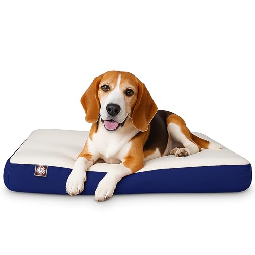24x34 Blue Orthopedic Double Pet Dog Bed By Majestic Pet Products Small to Medium With Removable Washable Cover by Majestic Pet