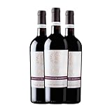 San Marzano Talò Primitivo Primitivo di Manduria 75 cl Vino tinto (Caja de 3 Botellas de 75 cl)