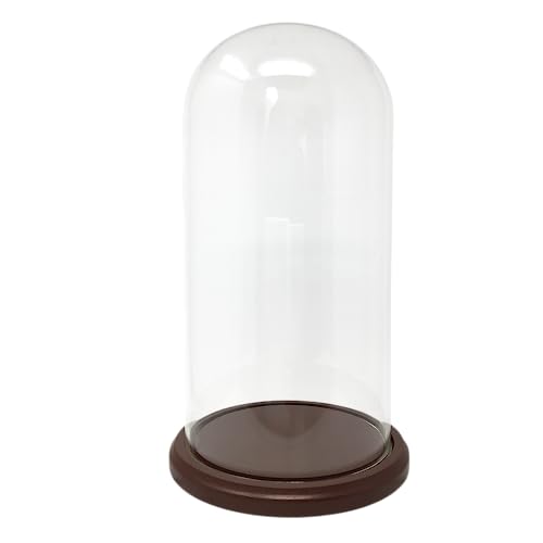 BANBERRY DESIGNS Glass Dome with Wood Base - Clear Glass Display Cloche - Bell Glass Cover Measures 11