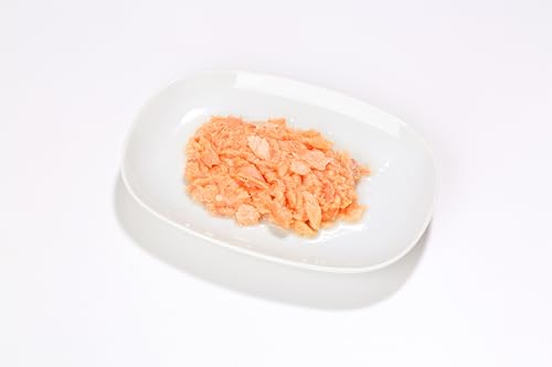 Almo Nature HFC Jelly - Nassfutter für ausgewachsene Katzen - Lachs - Human Grade, Glutenfrei & Monoprotein - 6 x 70g