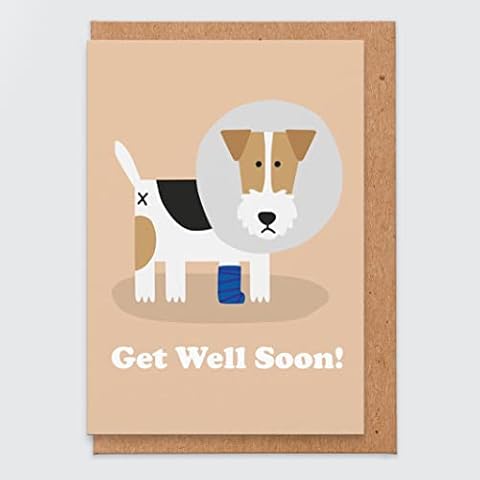 STUDIO BOKETTO Get Well Soon Card Get Well Soon Gifts Dog Get Well Soon Card Poorly Sick Ill for Her for Friend for Him for Dog Lover, white Cover