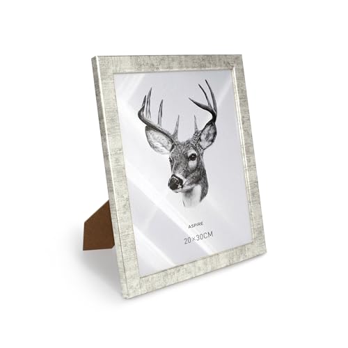 SHANN Marco de Fotos Plateado con Cristal, 20x30 cm, Soporte de Mesa y Pared, Desmontable – Decoración Moderna para Hogar y Oficina