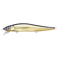Amazon.co.jp: メガバス(Megabass) VISION ONETEN SR FA ゴースト