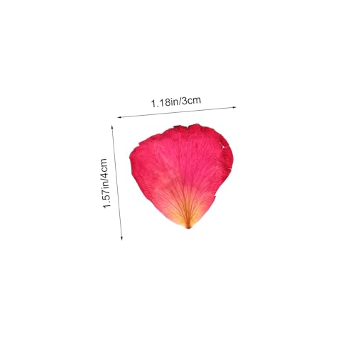 Pétalos de rosa secos 250g para decoración y manualidades miniatura 2