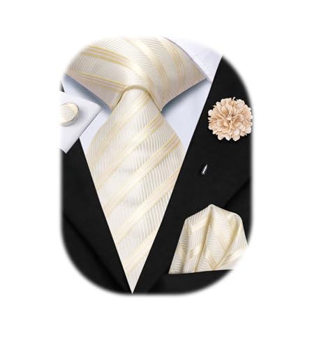 Image of Hi-Tie Mens Paisley Floral Striped Ties Set Silk Necktie and Lapel Pin for Men Pocket Square Cufflinks Set Business Wedding