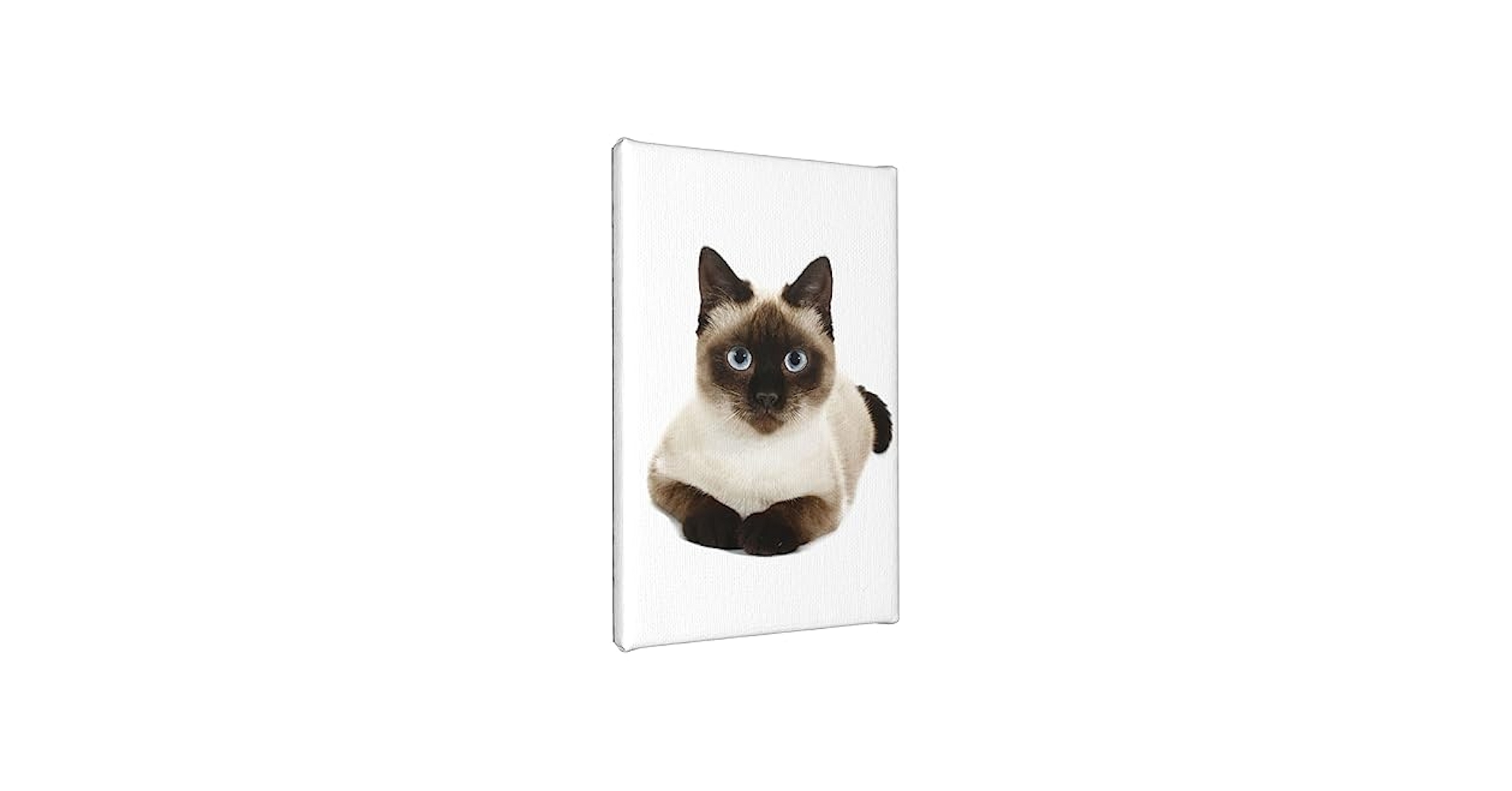 Amazon.co.jp: アートポスター フレーム 装飾画 シャム猫 シャム