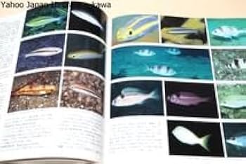 日本の海水魚 (山渓カラー名鑑) 日本の海水魚 (山渓カラー名鑑) | 大方 洋二, 小林 安雅, 矢野