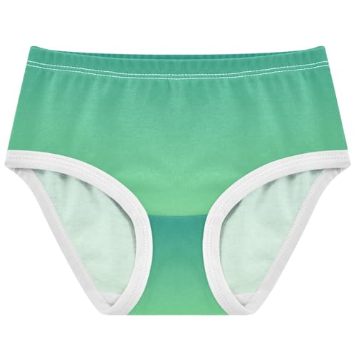 Joisal Cotton Toddlers Underwear Floral Green Pale Gradient Ombre Panties for Girl Aesthetic Kids Undies Briefs 2t