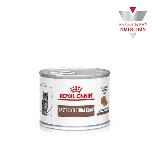 Royal Canin Veterinary Gastrointestinal Kitten | 12 x 195 g | Feuchtnahrung für Kitten | Ultra Soft Mousse | Zur Unterstützung der Verdauung und des Wachstums bei Katzenwelpen