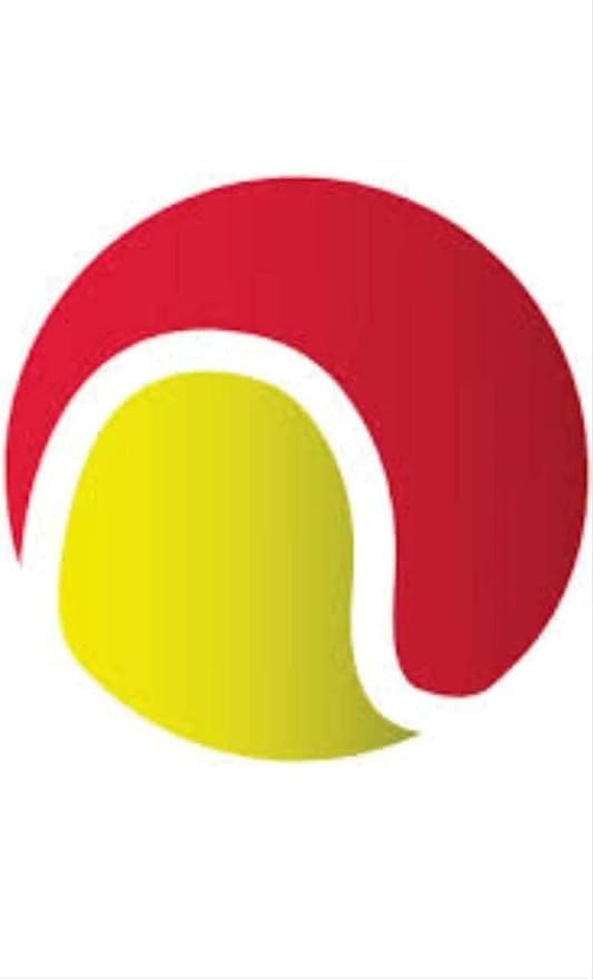 Spiro Soft Cricket Solid, Light Weight, Tennis Balls Practice, Training for All Age Group, Recommended for Indoor/Outdoor Street & Beach Cricket (Pack of One) (Color : Red & Yellow) (B0C1BGHR4J) Amazon Price History, Amazon Price Tracker