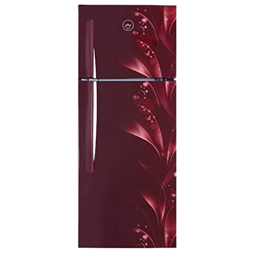 234 L 2 Star Frost Free Double Door Refrigerator (RT EONVIBE 306B 25 HCF SK WN)